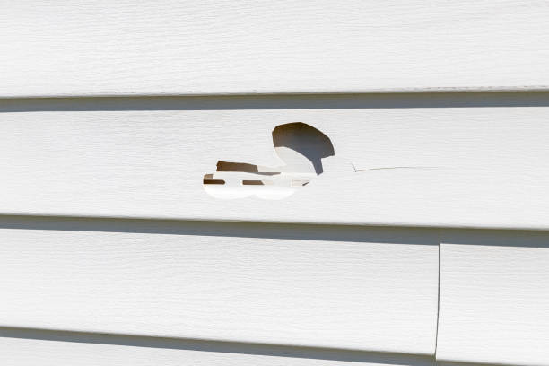 Siding Removal and Disposal in Elkader, IA