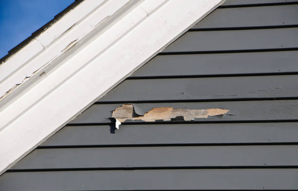 Professional Siding Installation & Repair in Elkader, IA